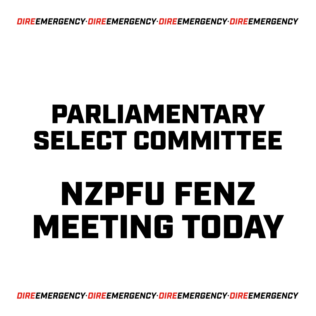 PARLIAMENTARY SELECT COMMITTEE AND NZPFU/FENZ MEETING